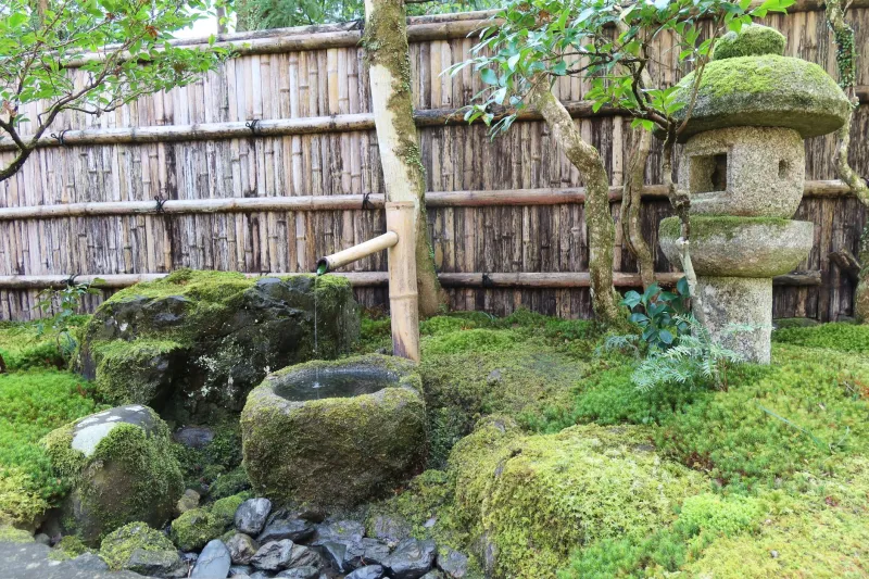 Why Asian Gardens Don't Finish Their Sentences — And Why That's the Whole Point
