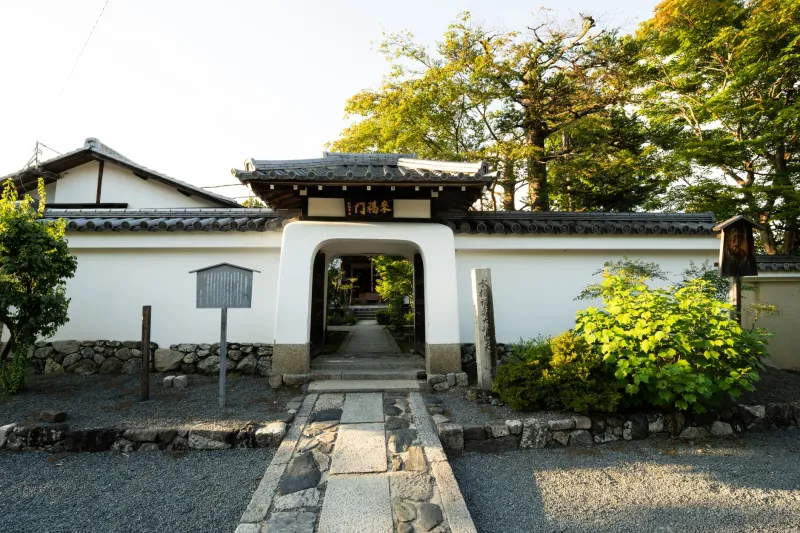 Turning Down the Volume: What Asia's Quietest Corners Are Doing to American Brains